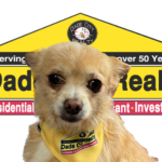 Small yellow dog wearing a yellow Dade City Realty bandana around his neck in front of the Dade City Realty logo.